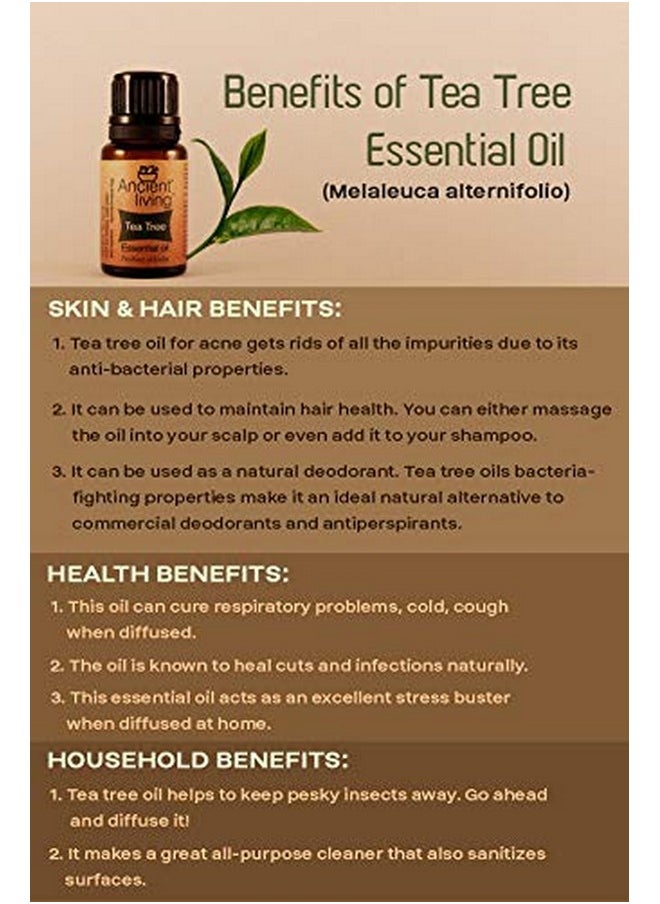 Ancient Living - Organic Tea Tree Essential Oil - 10 Ml - Image 1