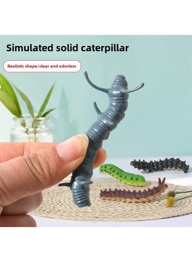 Simulation Of Caterpillar, Caberola, Reptile Insect Animal Model Children's Toys Prank Trick Trick Props-Color:Caterpillar Simulation Model (set Of 12 Models)  - Image 3