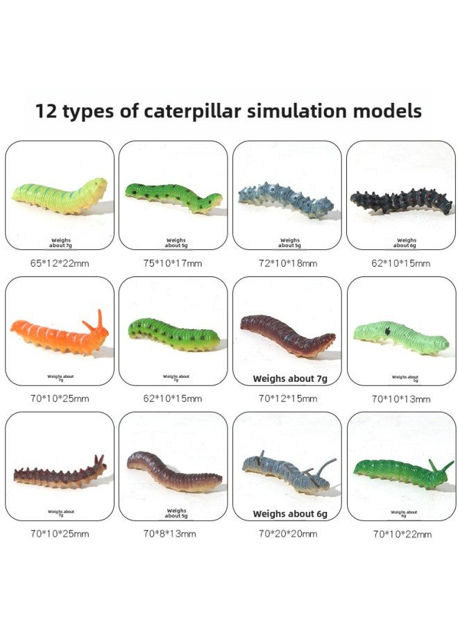 Simulation Of Caterpillar, Caberola, Reptile Insect Animal Model Children's Toys Prank Trick Trick Props-Color:Caterpillar Simulation Model (set Of 12 Models)  - Image 1