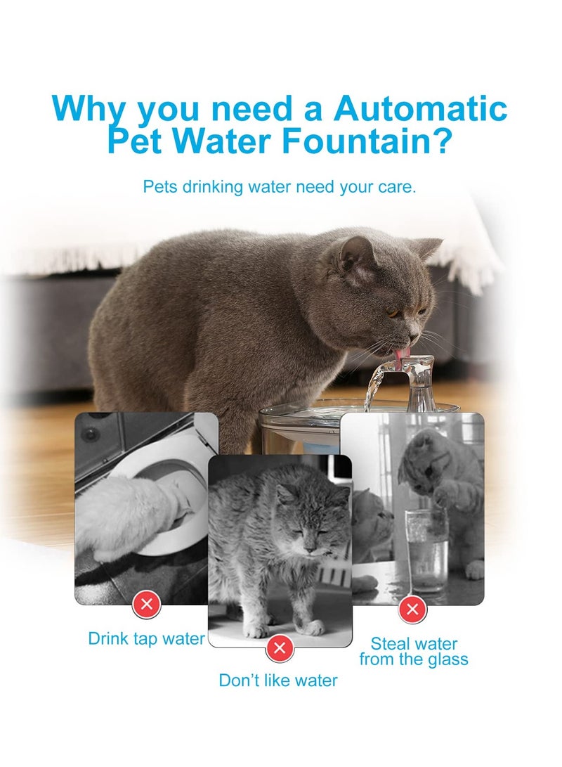 KASTWAVE Cat Water Fountain, 68oz/2L 304 Stainless Steel Pet Fountain Water Bowl, Quiet Electric Automatic Pet Water Dispenser with 3 Filters, Pet Drinking Fountains for Cats, Small Dog, Multiple Pets(Clear)  - Image 5
