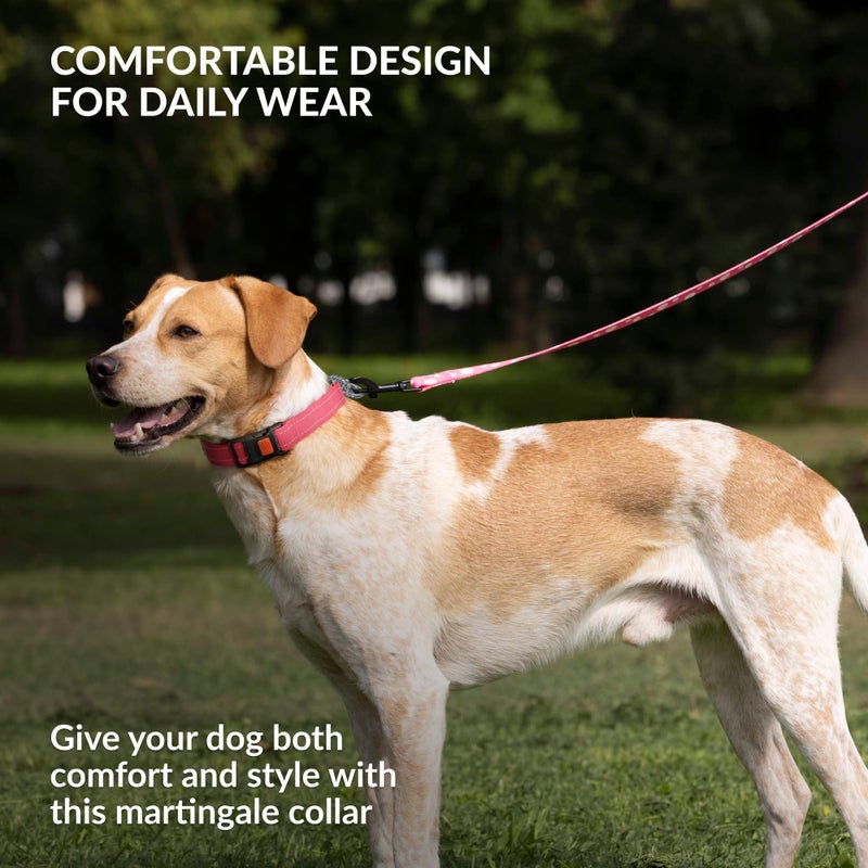 CollarDirect Martingale Dog Collar with Stainless Steel Chain and Quick Release Buckle - Reflective Collar for Large, Medium, Small Dogs - Pink, Large (Neck Size 17"-22") - Image 5