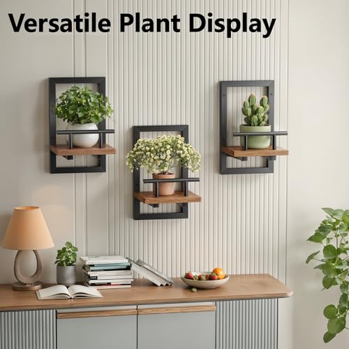 Sbosbo bosbo Floating Shelves for Wall, Plant Shelf Indoor, Wall Planters for Indoor Floating Plant Shelves for Bedroom, Living Room, Kitchen, Office, Bathroom Decor (3 Pack) - Image 4