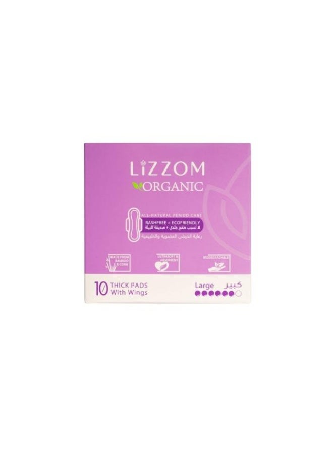 Sanitary Pads with wings 10 Large Size