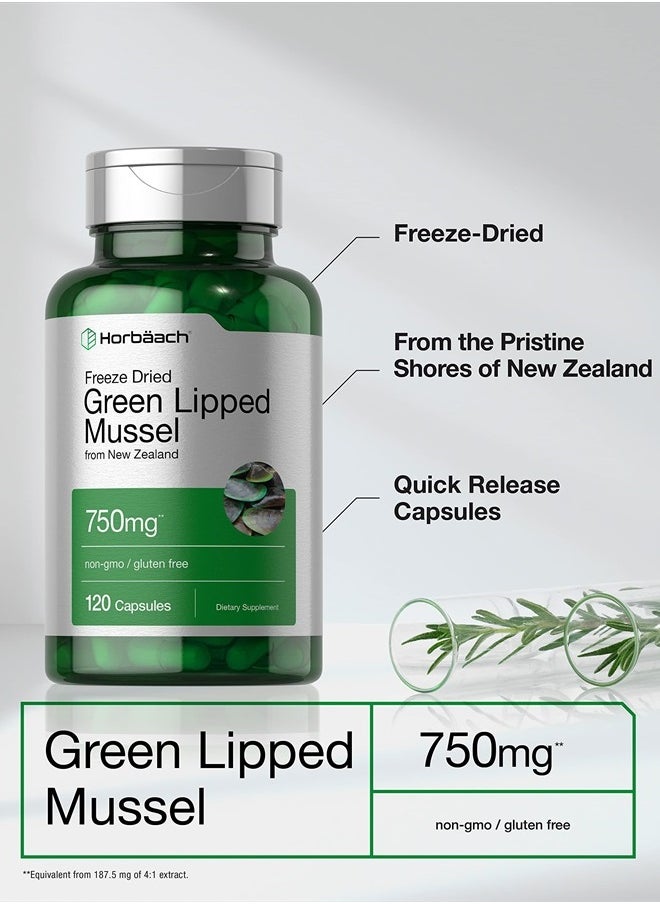 Horbaach Green Lipped Mussel | 750 mg | 120 Capsules | from New Zealand | Premium Freeze Dried Mussel Powder | Non-GMO and Gluten Free  - Image 3