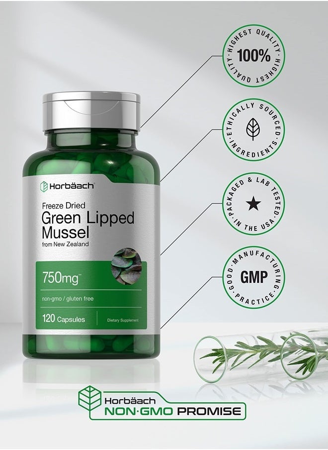 Horbaach Green Lipped Mussel | 750 mg | 120 Capsules | from New Zealand | Premium Freeze Dried Mussel Powder | Non-GMO and Gluten Free  - Image 5