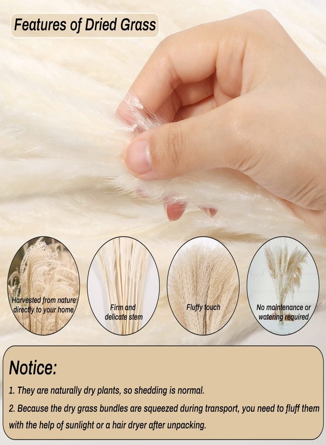 Cruzix 110 قطعة من عشب البامباس المجفف لتزيين المنزل بأسلوب بوهو، نباتات مجففة طبيعية وبيضاء، باقة عشب بومبوس مع أزهار مجففة على شكل ذيول أرنب، عشب ذيل القصب بكميات كبيرة لتزيين المنزل الاصطناعي، وتنسيقات حفلات الزفاف. - Image 2