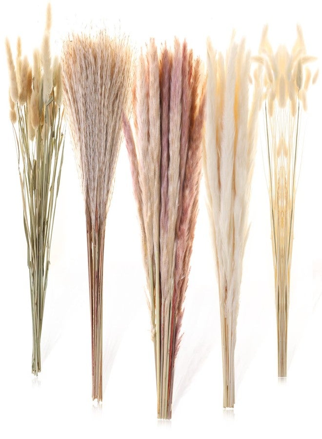 Cruzix 110 قطعة من عشب البامباس المجفف لتزيين المنزل بأسلوب بوهو، نباتات مجففة طبيعية وبيضاء، باقة عشب بومبوس مع أزهار مجففة على شكل ذيول أرنب، عشب ذيل القصب بكميات كبيرة لتزيين المنزل الاصطناعي، وتنسيقات حفلات الزفاف. - Image 1
