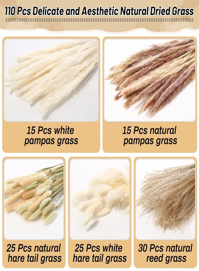 Cruzix 110 قطعة من عشب البامباس المجفف لتزيين المنزل بأسلوب بوهو، نباتات مجففة طبيعية وبيضاء، باقة عشب بومبوس مع أزهار مجففة على شكل ذيول أرنب، عشب ذيل القصب بكميات كبيرة لتزيين المنزل الاصطناعي، وتنسيقات حفلات الزفاف. - Image 3