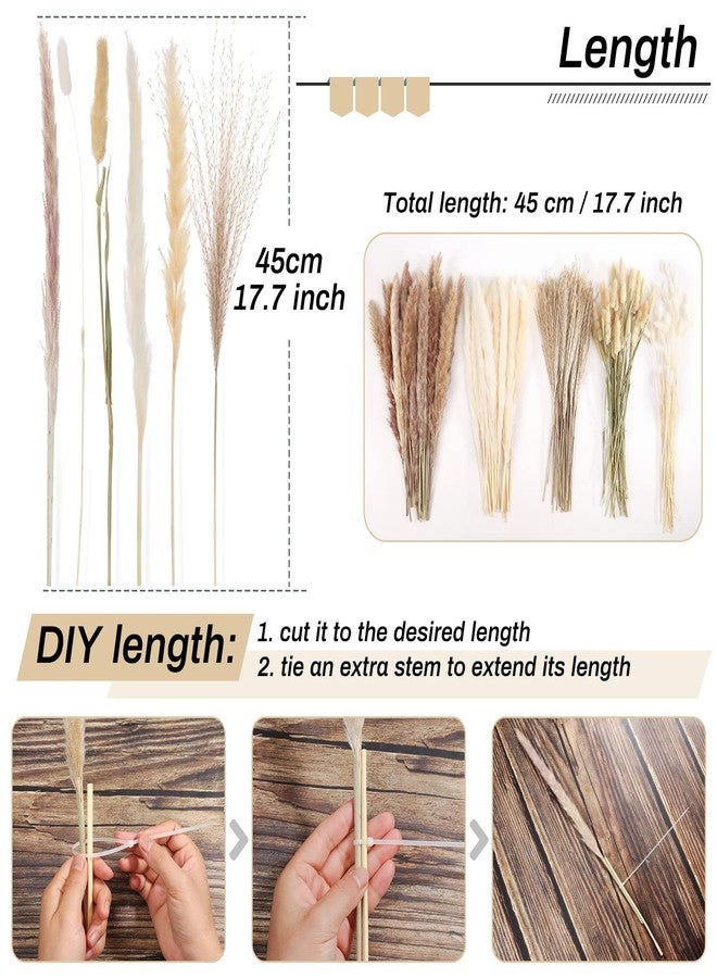 Cruzix 110 قطعة من عشب البامباس المجفف لتزيين المنزل بأسلوب بوهو، نباتات مجففة طبيعية وبيضاء، باقة عشب بومبوس مع أزهار مجففة على شكل ذيول أرنب، عشب ذيل القصب بكميات كبيرة لتزيين المنزل الاصطناعي، وتنسيقات حفلات الزفاف. - Image 4