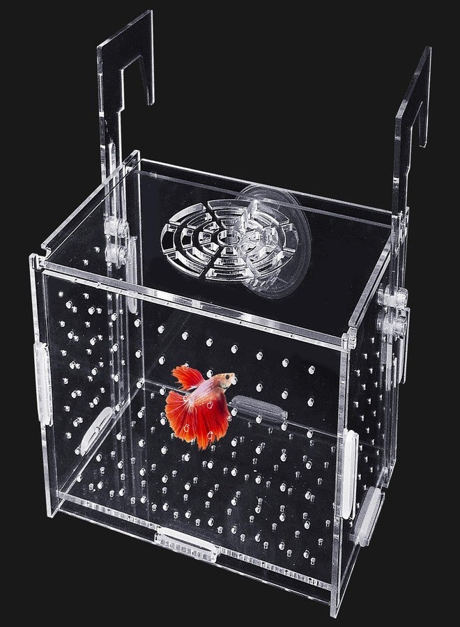 هامليدي صندوق عزل تكاثر هاميليدي الأكريليكي - حاضنة أسماك شفافة لأحواض أسماك الجوبي/الروبيان/الأسماك الصغيرة، حوض حضانة آمن مزود بأنبوب هواء وأكواب شفط (5.9 بوصة × 3.9 بوصة × 3.9 بوصة). - Image 1