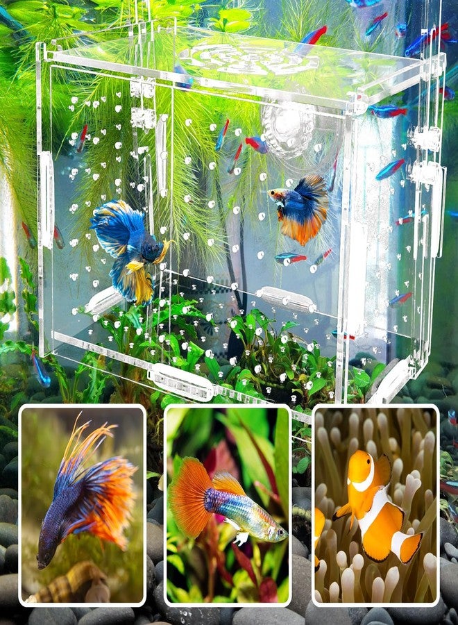 هامليدي صندوق عزل تكاثر هاميليدي الأكريليكي - حاضنة أسماك شفافة لأحواض أسماك الجوبي/الروبيان/الأسماك الصغيرة، حوض حضانة آمن مزود بأنبوب هواء وأكواب شفط (5.9 بوصة × 3.9 بوصة × 3.9 بوصة). - Image 4