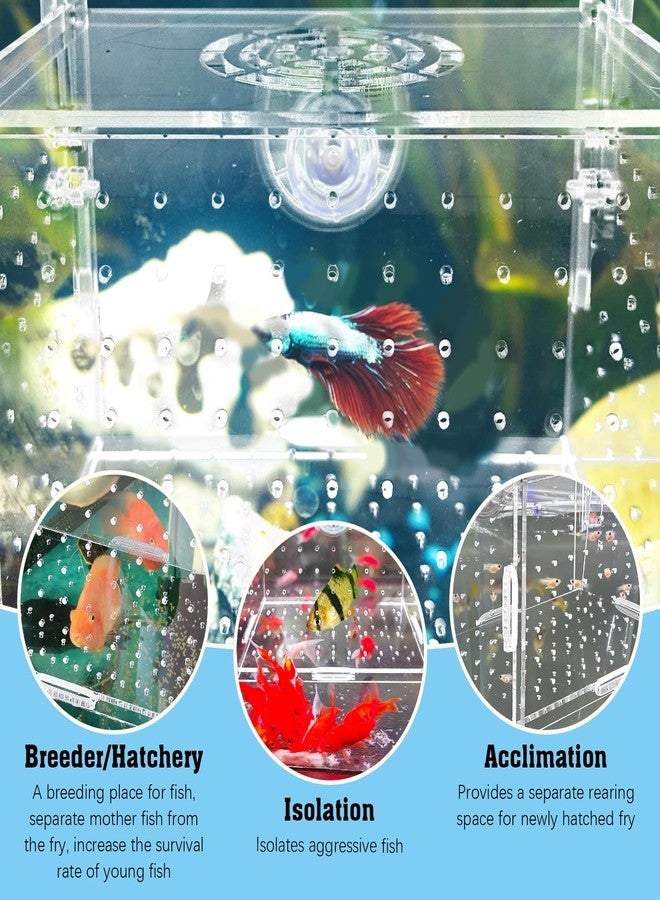 هامليدي صندوق عزل تكاثر هاميليدي الأكريليكي - حاضنة أسماك شفافة لأحواض أسماك الجوبي/الروبيان/الأسماك الصغيرة، حوض حضانة آمن مزود بأنبوب هواء وأكواب شفط (5.9 بوصة × 3.9 بوصة × 3.9 بوصة). - Image 3