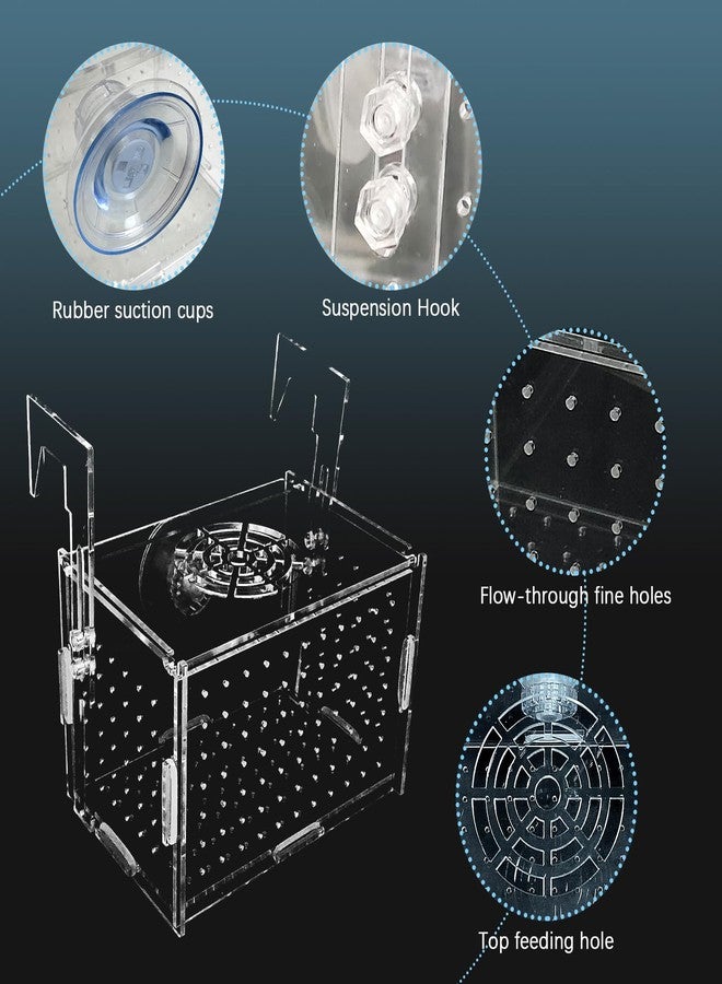 هامليدي صندوق عزل تكاثر هاميليدي الأكريليكي - حاضنة أسماك شفافة لأحواض أسماك الجوبي/الروبيان/الأسماك الصغيرة، حوض حضانة آمن مزود بأنبوب هواء وأكواب شفط (5.9 بوصة × 3.9 بوصة × 3.9 بوصة). - Image 5