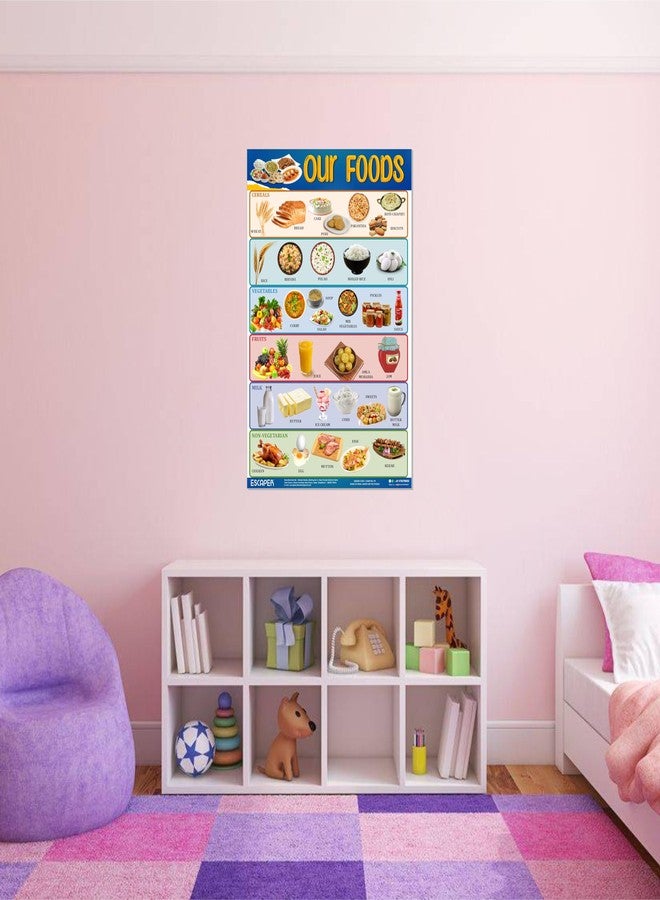 ESCAPER Our Foods Charts for Kids Learning (11.5 x 17.5 inches), Food Chart, Kids Study Material, Educational Charts for Kids, Kids Learning Books, Kids Books - Image 2