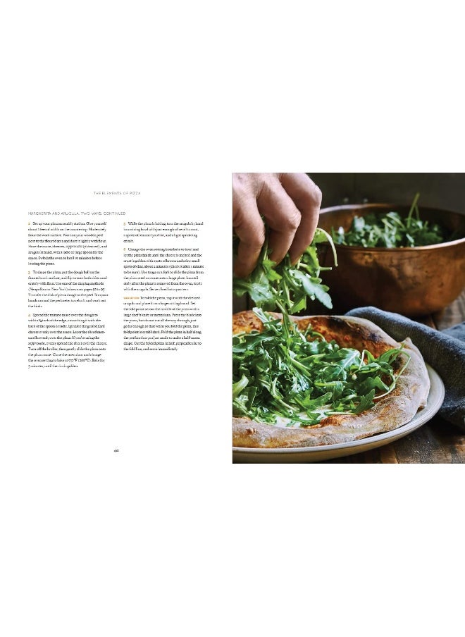 The Elements of Pizza: Unlocking the Secrets to World-Class Pies at Home [A Cookbook]  - Image 2
