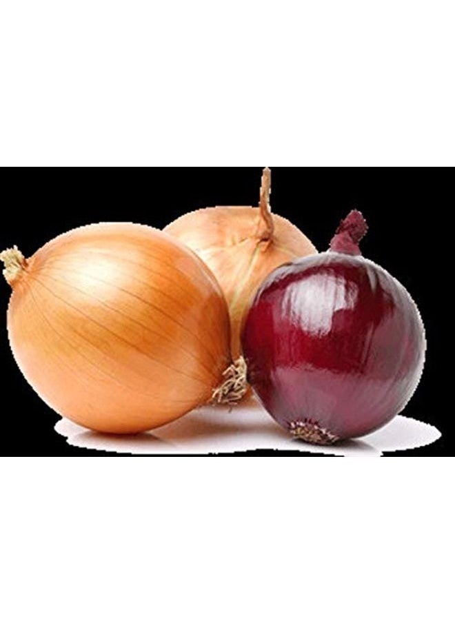 Uhuru Naturals - Onion Juice & Fermented Rice Water Elixir (Keep Your Scalp Healthy-Healthy Scalp=Healthy Hair Growth) 2oz - Image 1