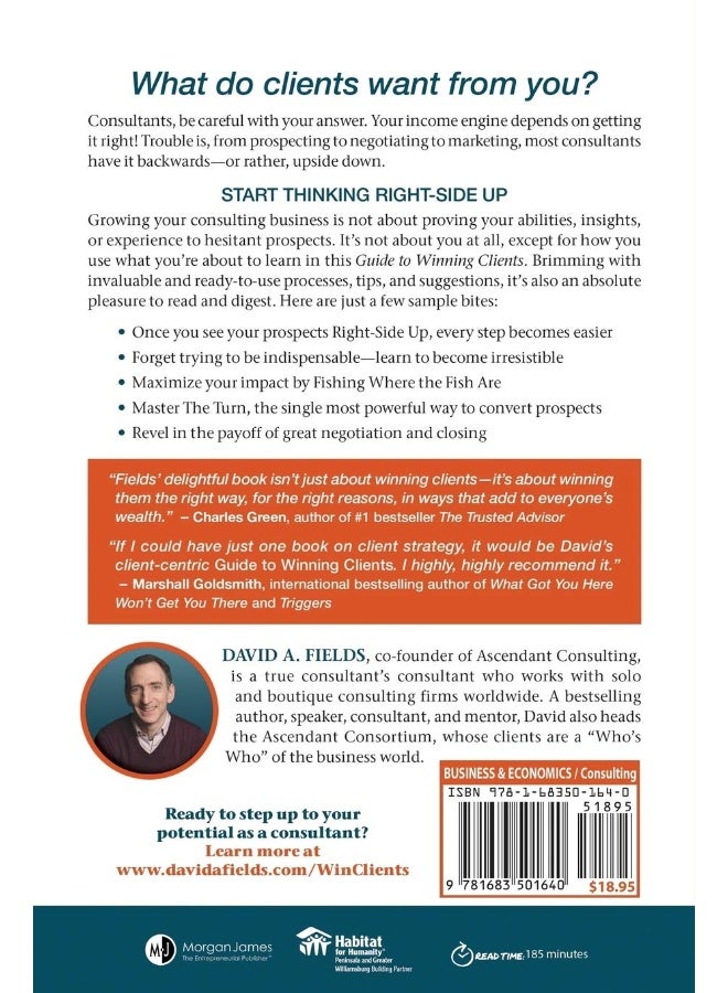 The Irresistible Consultant's Guide to Winning Clients: 6 Steps to Unlimited Clients & Financial Freedom  - Image 2