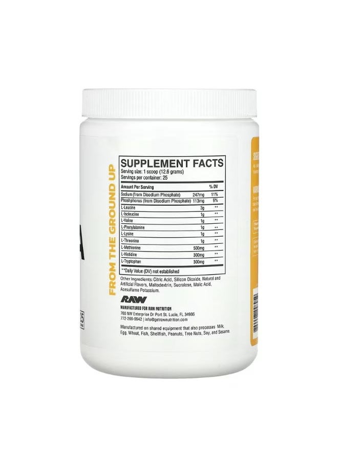 Raw Nutrition EAA Pineapple  11.11 oz 315 g  - Image 2