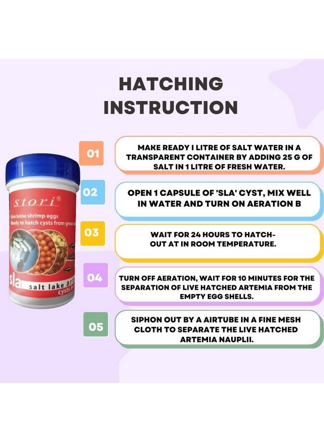 علاجات مائية Stori Salt Lake Artemia Cysts في كبسولات | بيض الروبيان الملحي الحي | أكياس جاهزة للفقس من Great Salt Lake (20 كبسولة) - Image 2