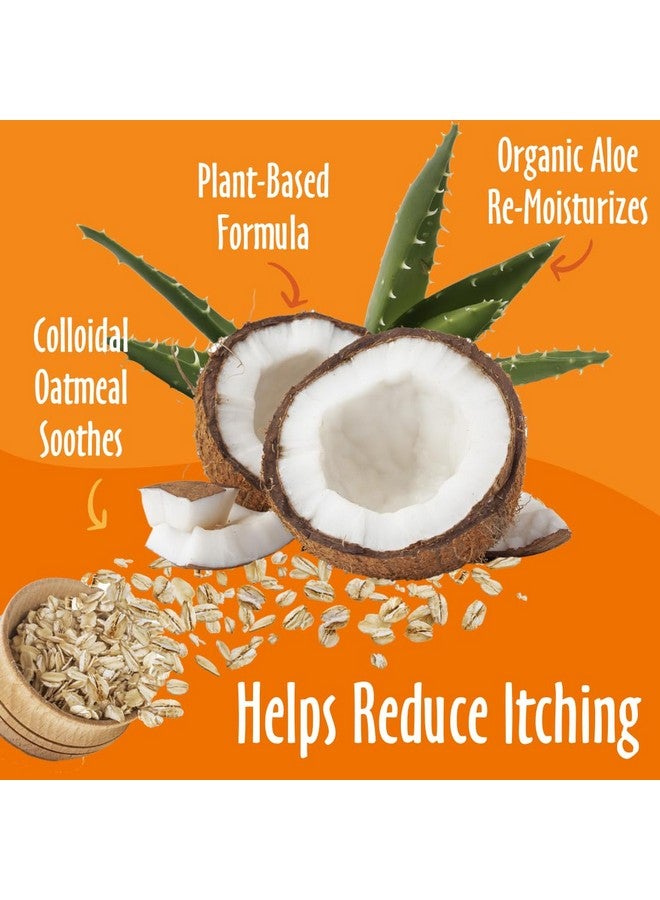 ايرث باث شامبو وبلسم إيرثباث للكلاب بالشوفان والصبار - غسول للكلاب، يساعد على تجفيف البشرة المصابة بالحكة، صنع في الولايات المتحدة الأمريكية، خالٍ من العطور، مستلزمات استحمام للحيوانات الأليفة - 16 أونصة (مجموعة واحدة) - Image 2