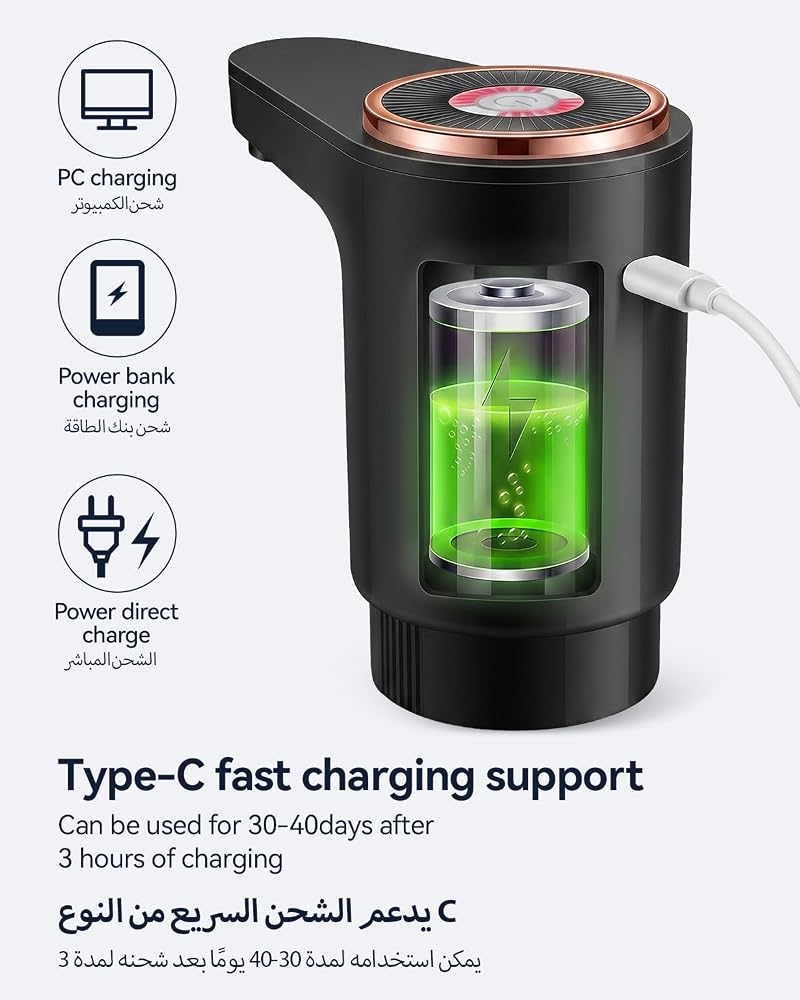 Proxima Direct Electric Water Dispenser Pump Double Pumps - Image 3
