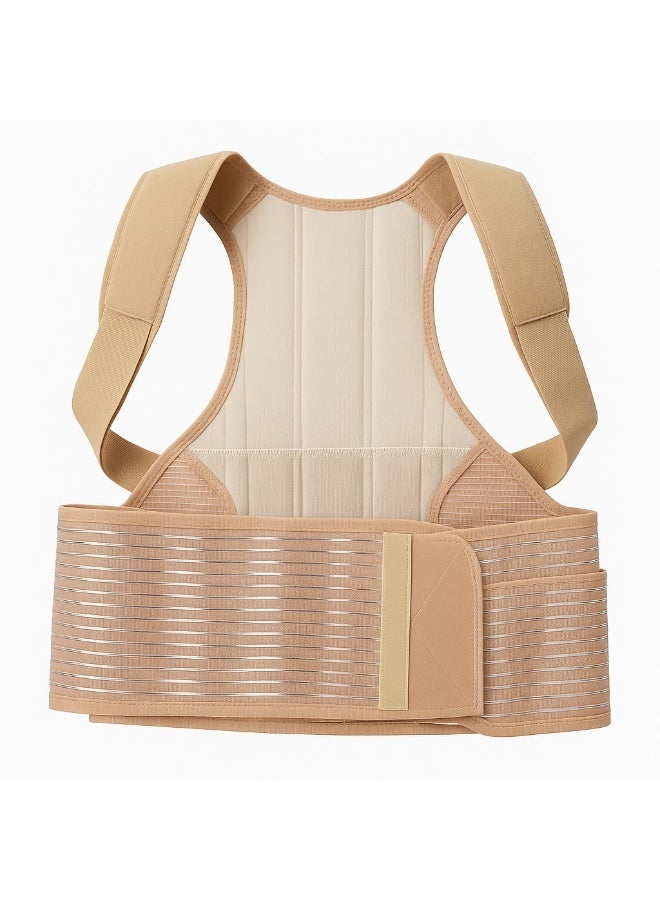 Fstyle Medical Back and Shoulder Correction Belt Spine Support Corset Lightweight and Comfortable with Adjustable Straps Suitable for Men and Women - Image 3