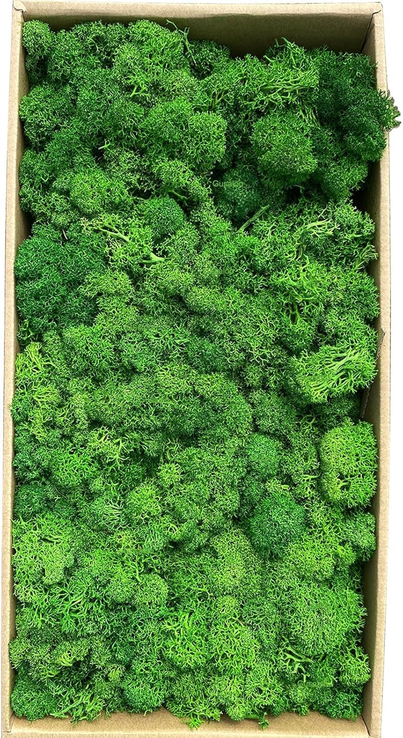Gusaloo Preserved Moss Artificial Moss Natural Fresh Green Moss for Craft Handicraft Arts Floral Project Wall Decor Table Decor Wedding Centerpieces Garden Terrariums Decoration -Mid-Green - Image 1