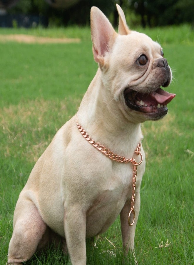 JYHY Stainless Steel P Chock Metal Chain -JYHY Dog Necklace Collars Walking Training Pet Supplies for Small Medium Large Dogs (22", Rose Gold) - Image 5