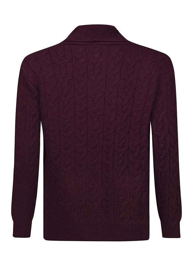 Felix Hardy Bordeaux Buttoned Cardigan for Men | Best Price UAE