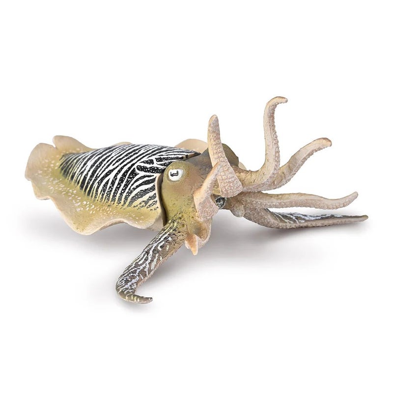 Collecta - Common Cuttlefish - 80009