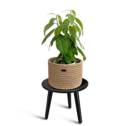 Uneedem Indoor Plant Stand, Modern Plant Table 8.9" Tall Wood Mid Century Flower Holder Small Round Side End Table - Image 1
