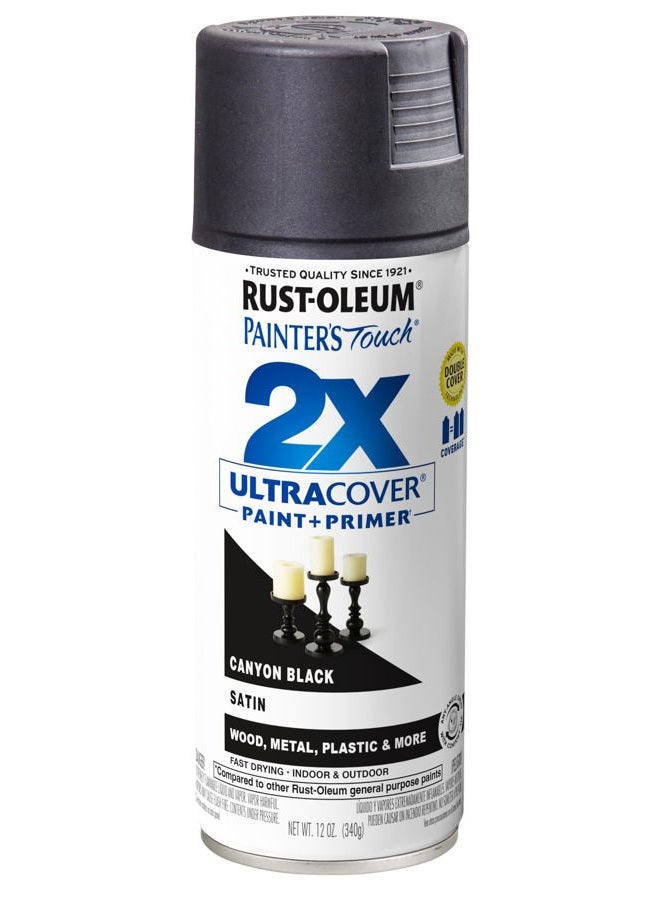 RUST-OLEUM 346951 Painter's Touch 2X Ultra Cover Spray Paint, 12 oz, Satin Canyon Black - Image 1