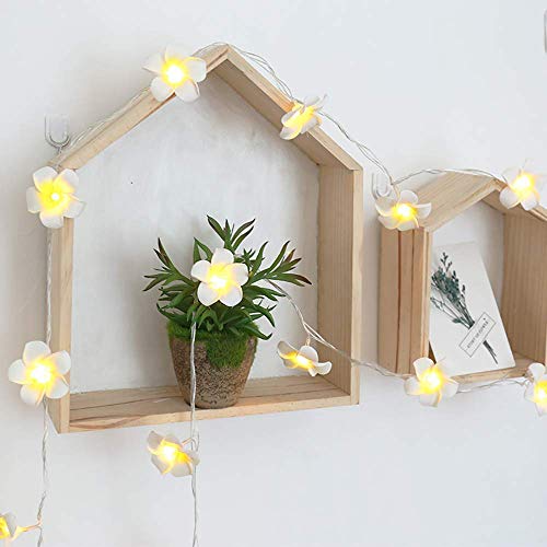 AceList Hawaiian Luau Party Decorations 20 LED Foam Plumeria String Light for Wedding Beach Party - Image 5