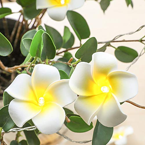 AceList Hawaiian Luau Party Decorations 20 LED Foam Plumeria String Light for Wedding Beach Party - Image 4