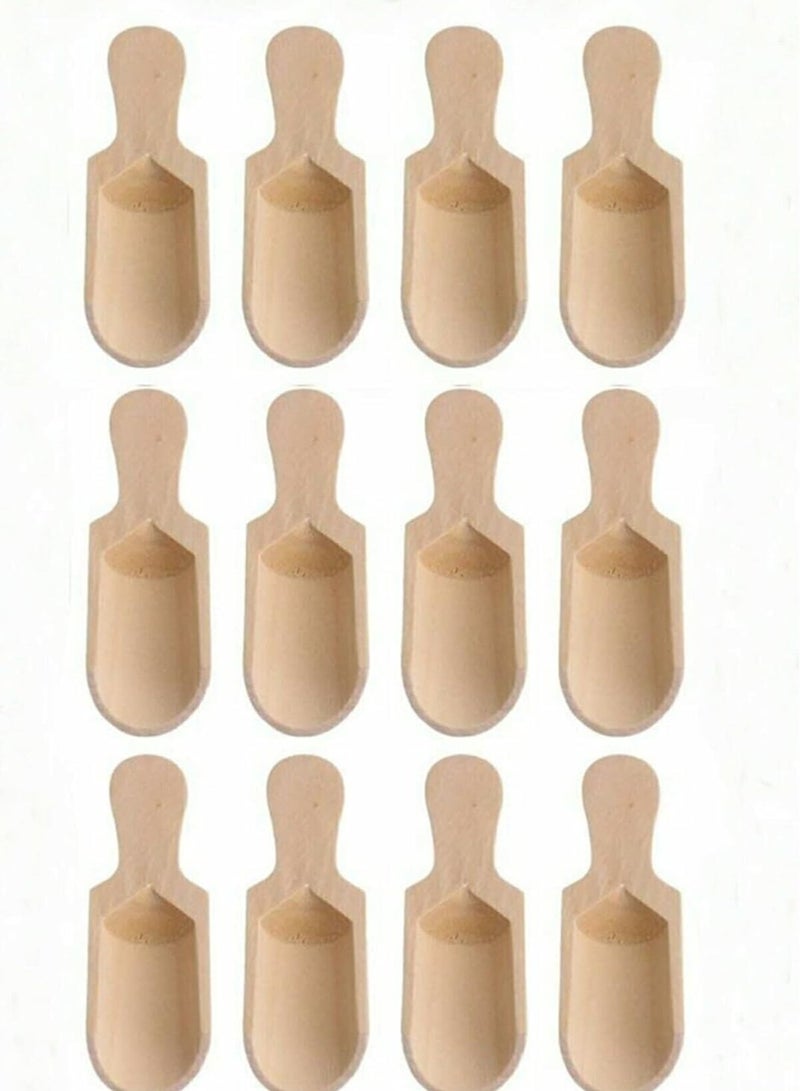 معالق خشب ميني للتتوابل/معالق جاروف للتتوابل والبهاراات/معالق خشب للبن والملح والسكر/معالق جاروف/معالق خشب مجوفه للتتوابل / 12  قطعه - Image 2