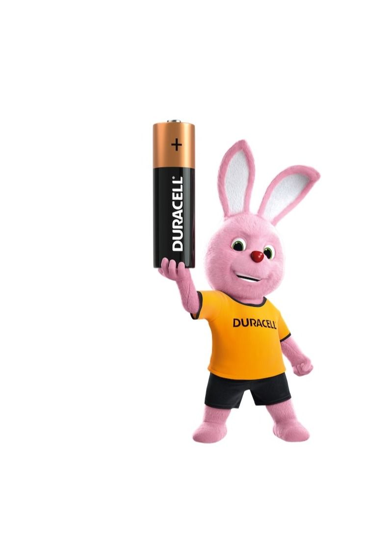 Duracell AA Original Alkaline 2 Piece Battery - Image 3