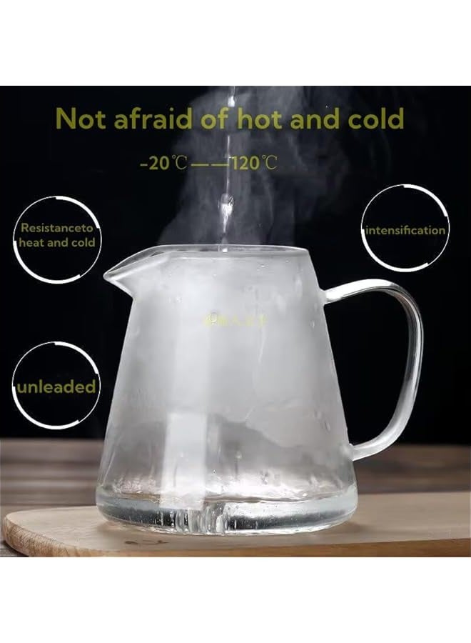 بيوينتي ابريق شاي زجاجي مع مصفاة، امن للاستخدام على الموقد، مجموعة صنع الشاي المتفتحة والسائبة، مع مصفاة ستانلس ستيل قابلة للازالة 750 مل - Image 5