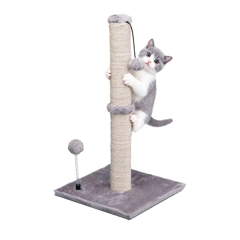 MECOOL Cat Scratching Post Premium Basics Kitten Scratcher Sisal Scratch Posts with Hanging Ball 22" for Kittens or Smaller Cats (22 inches for Kitten, Gray) - Image 1