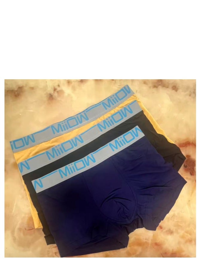 كيتي مان ملابس داخلية رياضية للرجال من Miiow Boxed، عبوة من قطعتين، أسود - Image 1