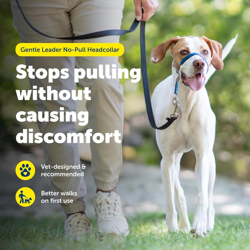 PetSafe Gentle Leader Headcollar - No-Pull Dog Collar for Leash & Harness Training - Medium, Royal Blue - Image 2