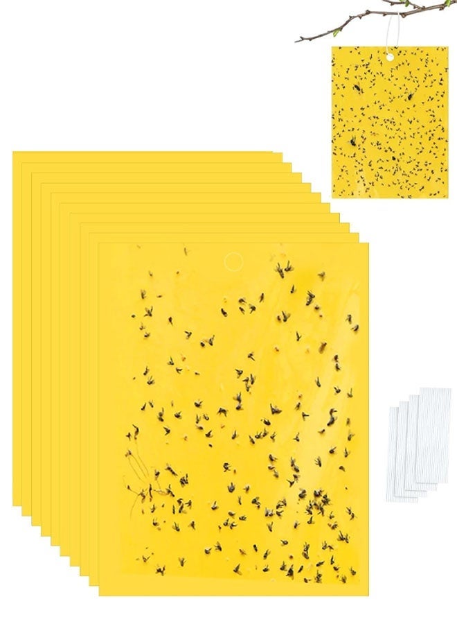 مصائد لاصقة من Qualirey، 10 قطع، مقاس 6 × 8 بوصة، للنباتات، مصيدة لاصقة مزدوجة الجوانب للبعوض مع أربطة ملتوية، مصائد ذباب للفاكهة والحشرات والفطريات والحشرات للاستخدام الداخلي والخارجي (أصفر) - Image 1