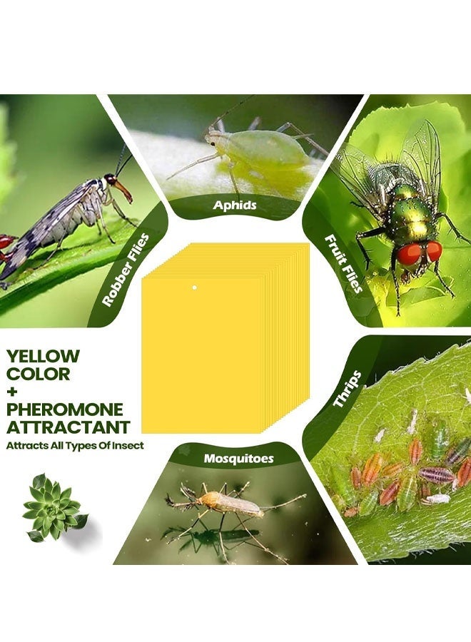 مصائد لاصقة من Qualirey، 10 قطع، مقاس 6 × 8 بوصة، للنباتات، مصيدة لاصقة مزدوجة الجوانب للبعوض مع أربطة ملتوية، مصائد ذباب للفاكهة والحشرات والفطريات والحشرات للاستخدام الداخلي والخارجي (أصفر) - Image 5