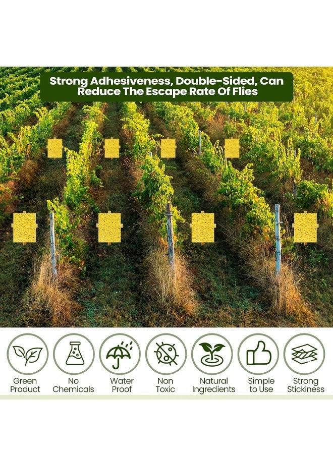 مصائد لاصقة من Qualirey، 10 قطع، مقاس 6 × 8 بوصة، للنباتات، مصيدة لاصقة مزدوجة الجوانب للبعوض مع أربطة ملتوية، مصائد ذباب للفاكهة والحشرات والفطريات والحشرات للاستخدام الداخلي والخارجي (أصفر) - Image 2