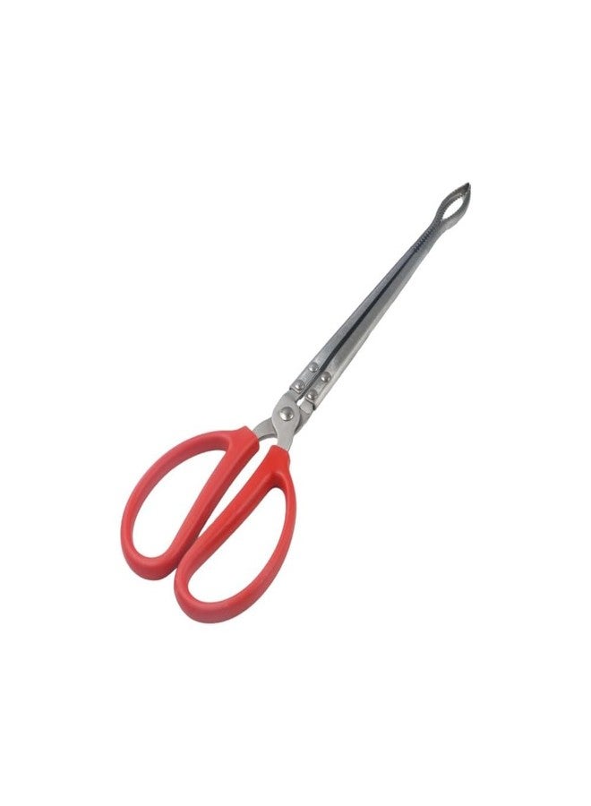 Pokinge 1 Piece Stainless Steel Crab Tong,15 Inch Long Anti-slip Sea Crab Tong Mud Loach Eel Clamp Garbage Clip Multi-function Fishing Catch Tool - Image 3