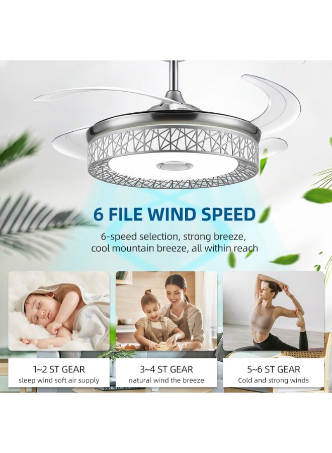TASVORA Ceiling Fan with LED light kit | remote control | modern blade | noiseless | copper motor | dimming and color temperature adjustment | 3-speed | tricolor adjustable - Image 3