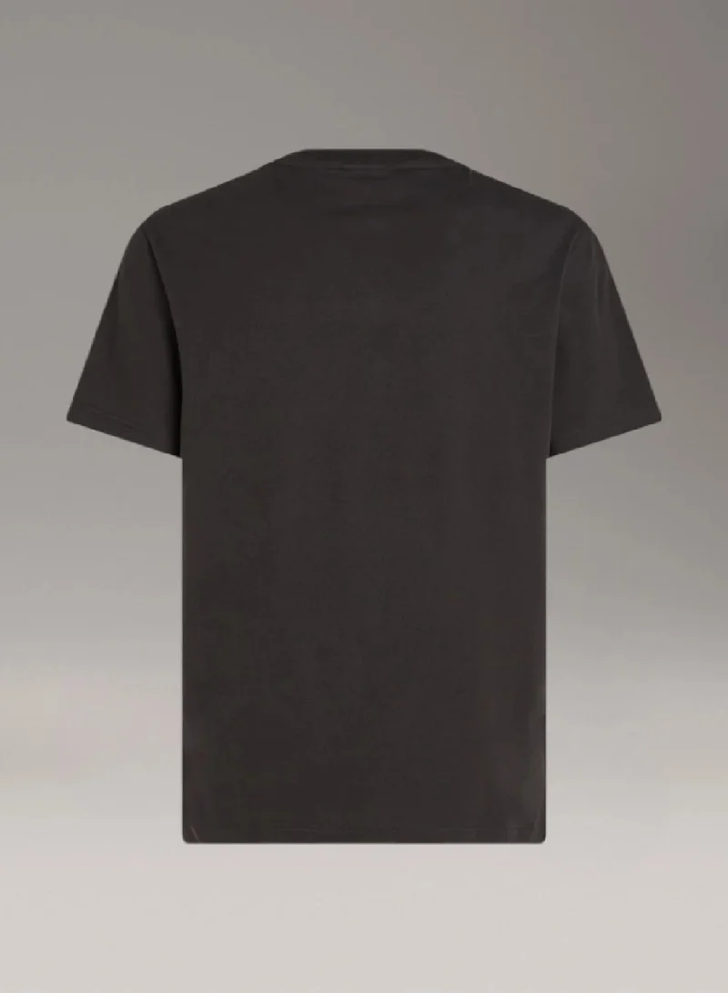 CALVIN KLEIN Ny Regular Fit T-Shirt With Chest Box Logo