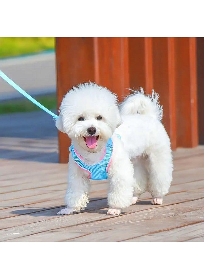Cat, Dog Harness With Adjustable Leash | Breathable Polyester Mesh | Small Size|Comfortable No-Pull Grip | Quick Release Buckles | Pet Walking Set | Secure And Stylish Dog Harness- Multicolor - Image 1