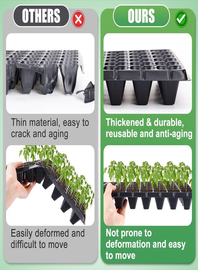 Apipi 10 Pack Thickened 72 Cells Seedling Trays- BPA Free Plastic Gardening Germination Trays with Drain Holes Reusable Plant Grow Plug Trays Mini Propagator for Seeds Growing Plant Seedlings Propagation - Image 2