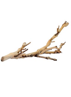Exo Terra Exo Terra Forest Branch, Small  - Image 1
