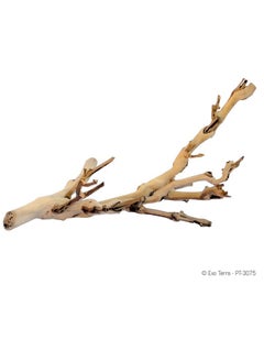 Exo Terra Exo Terra Forest Branch, Small  - Image 2